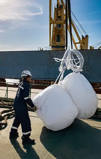 Ship agency and husbandry services across Egyptian ports